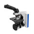 RB41 Gout Microscope ergo binocular head