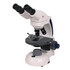 Swift M3802CB-3 Biological Microscope