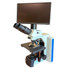 Advanced Andrology Semen Analysis Digital HD Phase Microscope