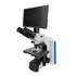 Advanced Andrology Semen Analysis Digital HD Phase Microscope