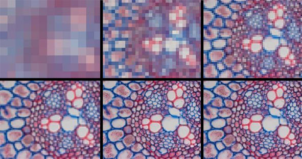 How to Optimize Microscope Camera Exposure, Gain, and Gamma for Scientific Imaging