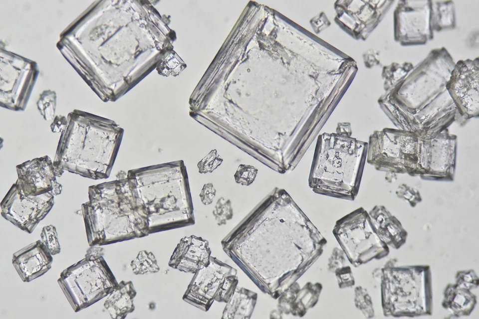 Salt Under a Microscope: What Salt Crystals Really Look Like