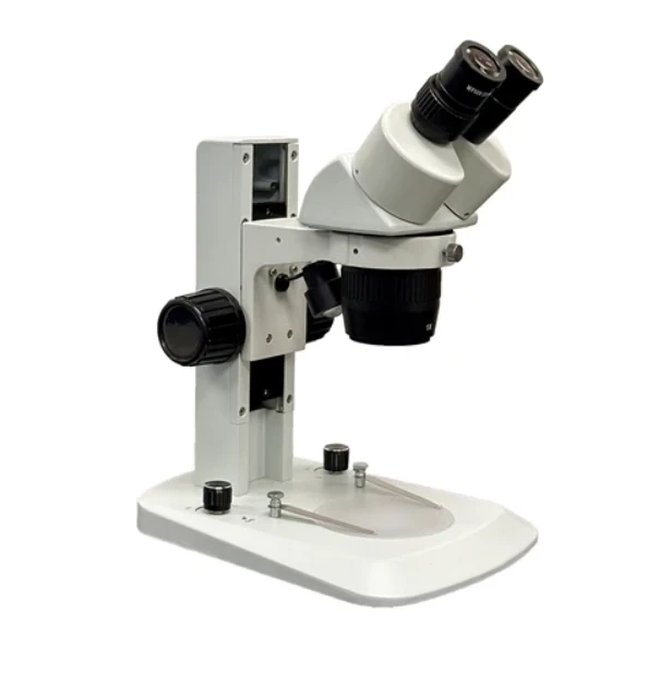 Dissecting Microscope Guide: Uses, Magnification, Parts & How to Choose One