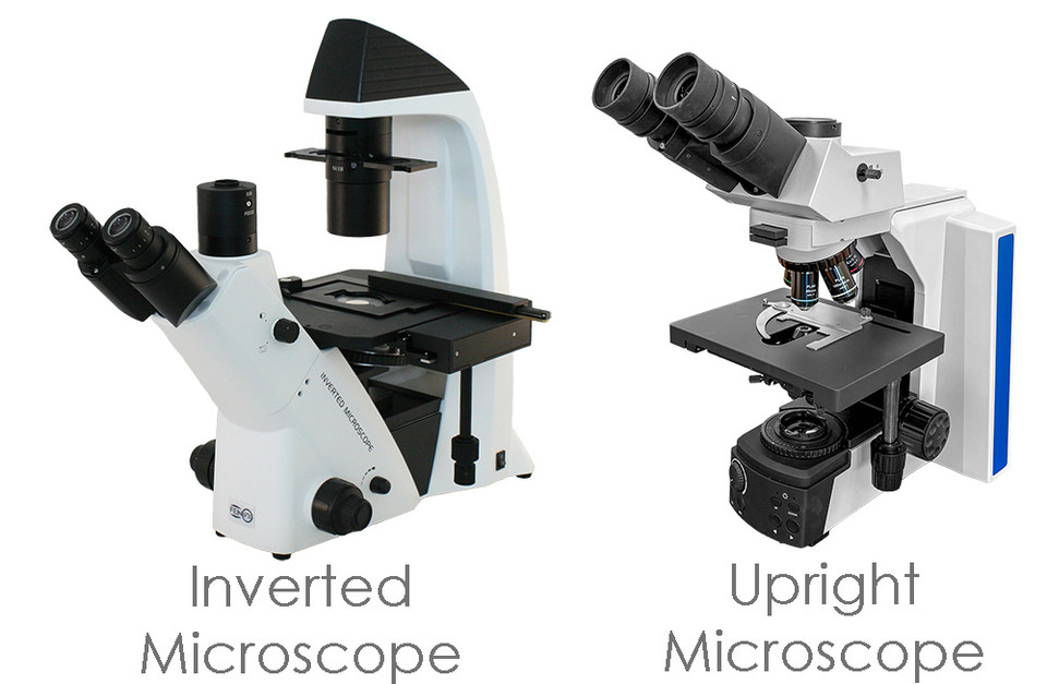 Inverted vs. Upright Microscope: Which Is Right for Your Lab?