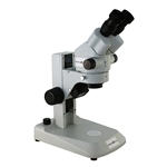 Dissection Microscopes