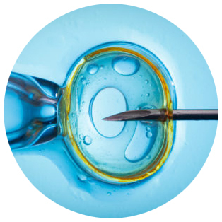 Animal Breeders IVF Microscopes