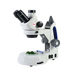 Stereo Microscopes
