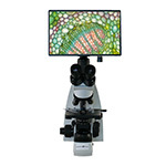 Digital Microscopes