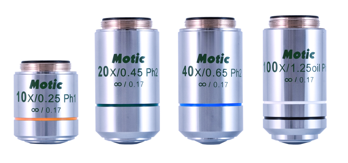 Phase Contrast Objectives