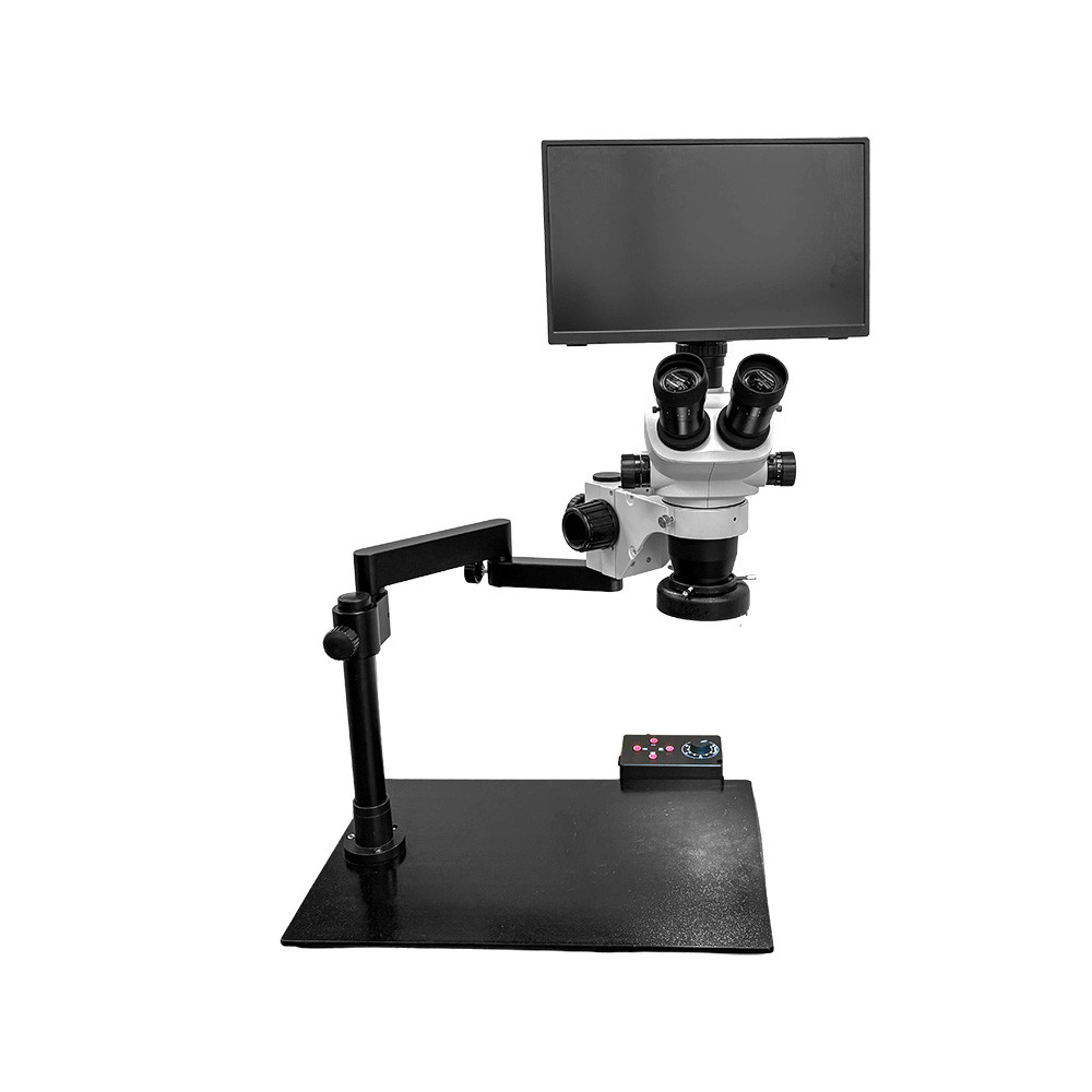 Microscopy in Food Safety: Detecting Contaminants, Defects, and ...