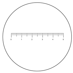 Microscope Reticle Ruler Microscope Reticle Ruler
