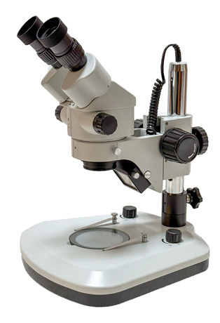 Dissecting Stereo Zoom Microscope