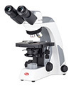 Compound Microscope Compound Microscope
