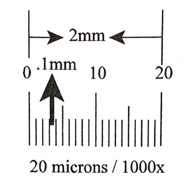 KR242 Ruler Reticle 2mm in 20 Divisions