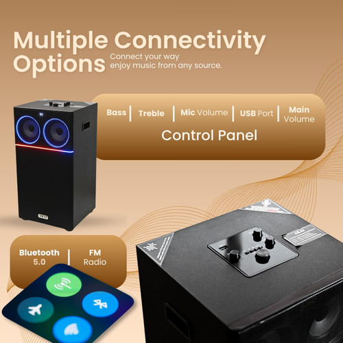 100 Watt  Party Speakers