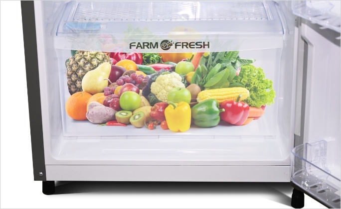 Akai 215L Single Door Refrigerator AKDD2353-PHLG | AKAI India