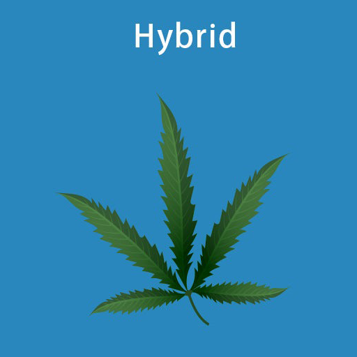 Hybrid