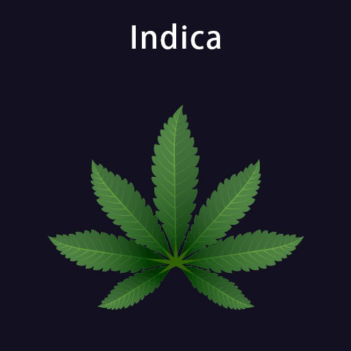 Indica