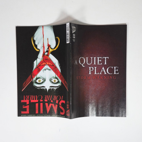 Smile (For the Camera) / A Quiet Place (Storm Warning) NYCC 2025 IDW Ashcan Comic Book (Front & Back)