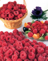 Raspberry Malling Jewel