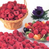 Raspberry Glen Lyon