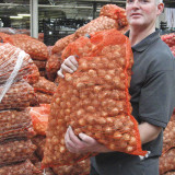 Narcissus Delnashaugh 25kg