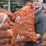Narcissus Trumpet Mixed 12.5kg Narcissus Trumpet Mixed 12.5kg