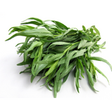 Herb Tarragon