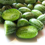 Cucamelon