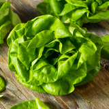 Lettuce - Salad Bowl Green