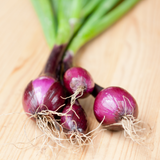 Onion - Salad - Lilia (purple)