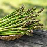 Asparagus - Mary Washington