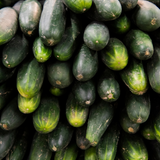 Courgette Ambassador F1