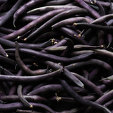 French Climbing Bean - A Cosse Violette