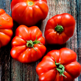 Tomato Marmande Superprecoce