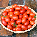 Tomato Plum Nagina F1 - Blight Resistant