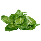 Spinach Medania Spinach Medania