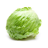 Lettuce Crisphead Iceberg