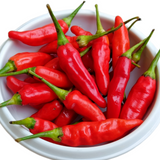 Pepper Rokita Pepper Rokita