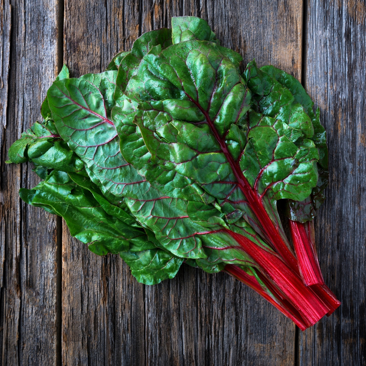 Buy premium-quality Swiss Chard Ruby Red from Dutch Bulbs