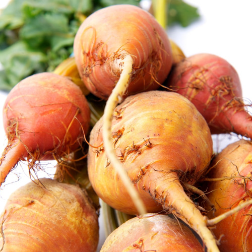 Beetroot Golden Boldor F1