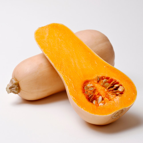 Squash Butternut Hunter F1