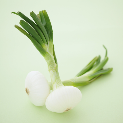 Salad Onion White Star