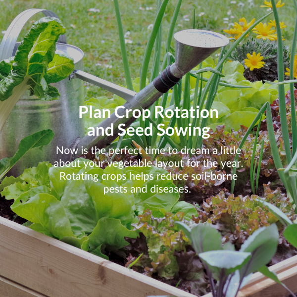 Sow broad beans. Sow seeds 5cm deep and around 15-20cm apart in fertile, free-draining soil.