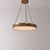 An illuminated Ribbed Disc Alabaster Brass Pendant light, showing a brass outer frame with vertical ribs and a translucent alabaster disc center, suspended by chains.