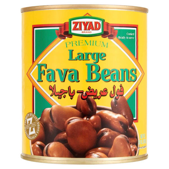 ZIYAD: Bean Fava Lrg, 15 oz New