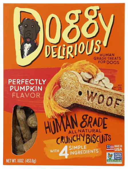 DOGGY DELIRIOUS: Dog Bone Pumpkin, 16 oz New