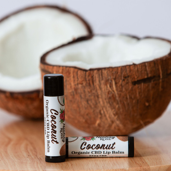 The Healing Rose Coconut Organic CBD Lip Balm tubes beside a halved coconut on a wooden surface