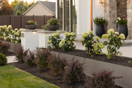 What Features Should You Look for in a Premium Outdoor Planter?