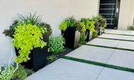What Should You Know Before Ordering Custom Planters?